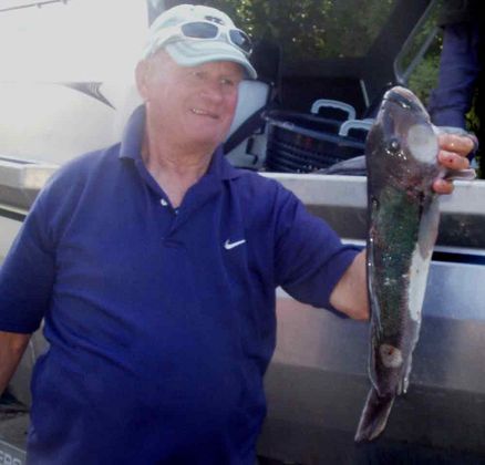 54cm blue cod