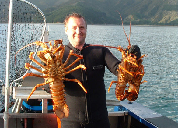 Crayfish from Croisilles Harbour