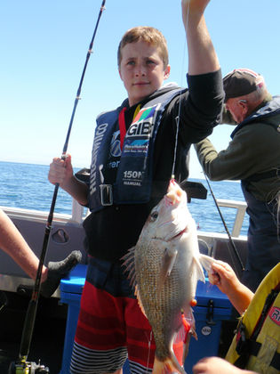 Snapper caught at Ōkiwi Bay